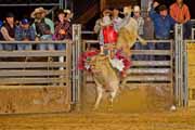 Tejas Rodeo Bull Ride